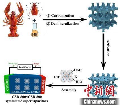 科研新發現 小龍蝦殼助力制備高性能電極材料